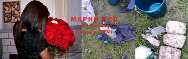 мяу мяу мука Беломорск