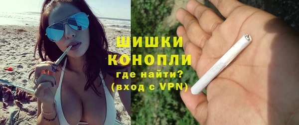 крисы Белокуриха