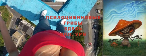 мяу мяу мука Беломорск