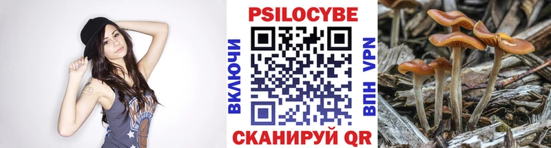 kraken ТОР  Пестово  Псилоцибиновые грибы GOLDEN TEACHER 
